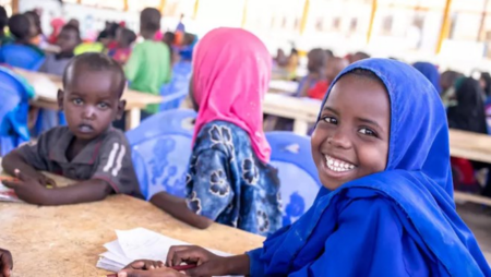 What are the main Somali education hurdles today?