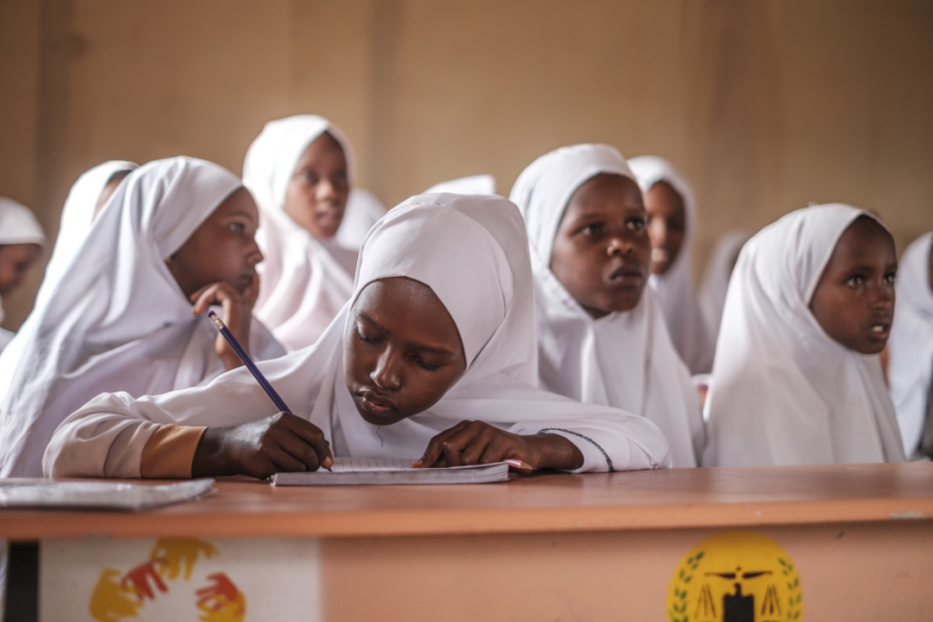 Somali School Reform