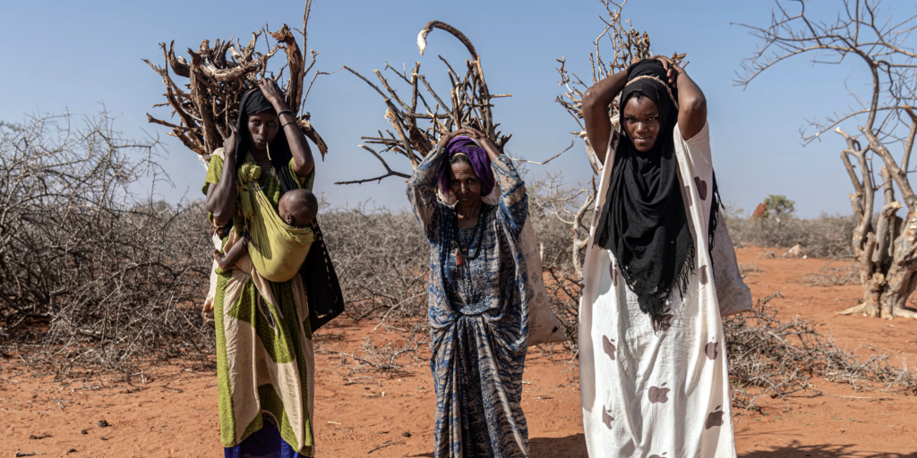 The Situation in Somalia
