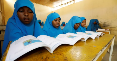 What is the Future of Somali Education Systems in the Coming Years? What is the Future of Somali Education Systems in the Coming Years?