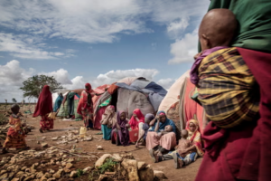 4 factors driving Somalia political failure and future 4 factors driving Somalia political failure and future