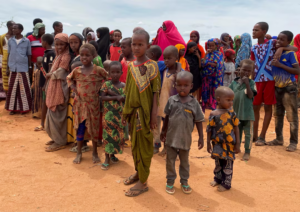 How Somali media influence shapes national culture growth How Somali media influence shapes national culture growth