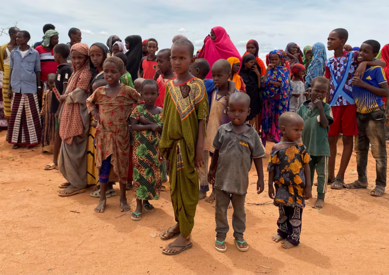 How Somali media influence shapes national culture growth How Somali media influence shapes national culture growth