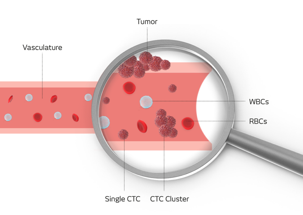Cancer early check: Can simple habits save your life?