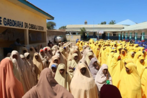 Which Somali Education Options Are Best for Families Today Which Somali Education Options Are Best for Families Today