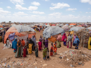 Somalia crisis escalating: Government Strategy & Stability Ahead Somalia crisis escalating: Government Strategy & Stability Ahead