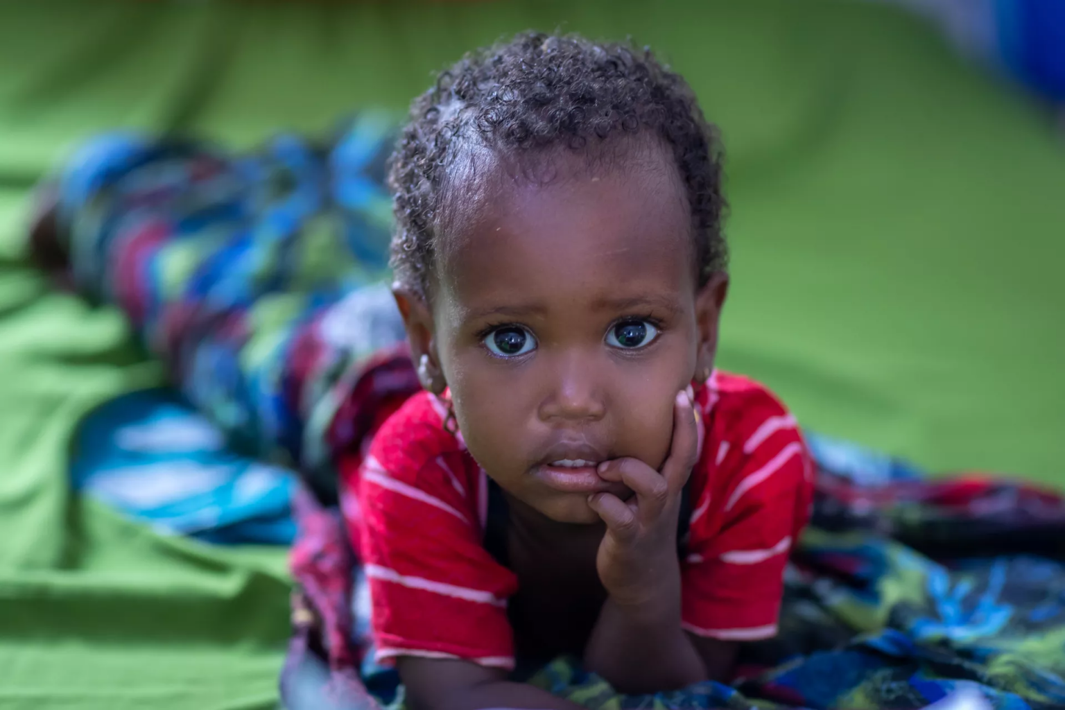 What Are the Education Challenges in Somalia Today? What Are the Education Challenges in Somalia Today?