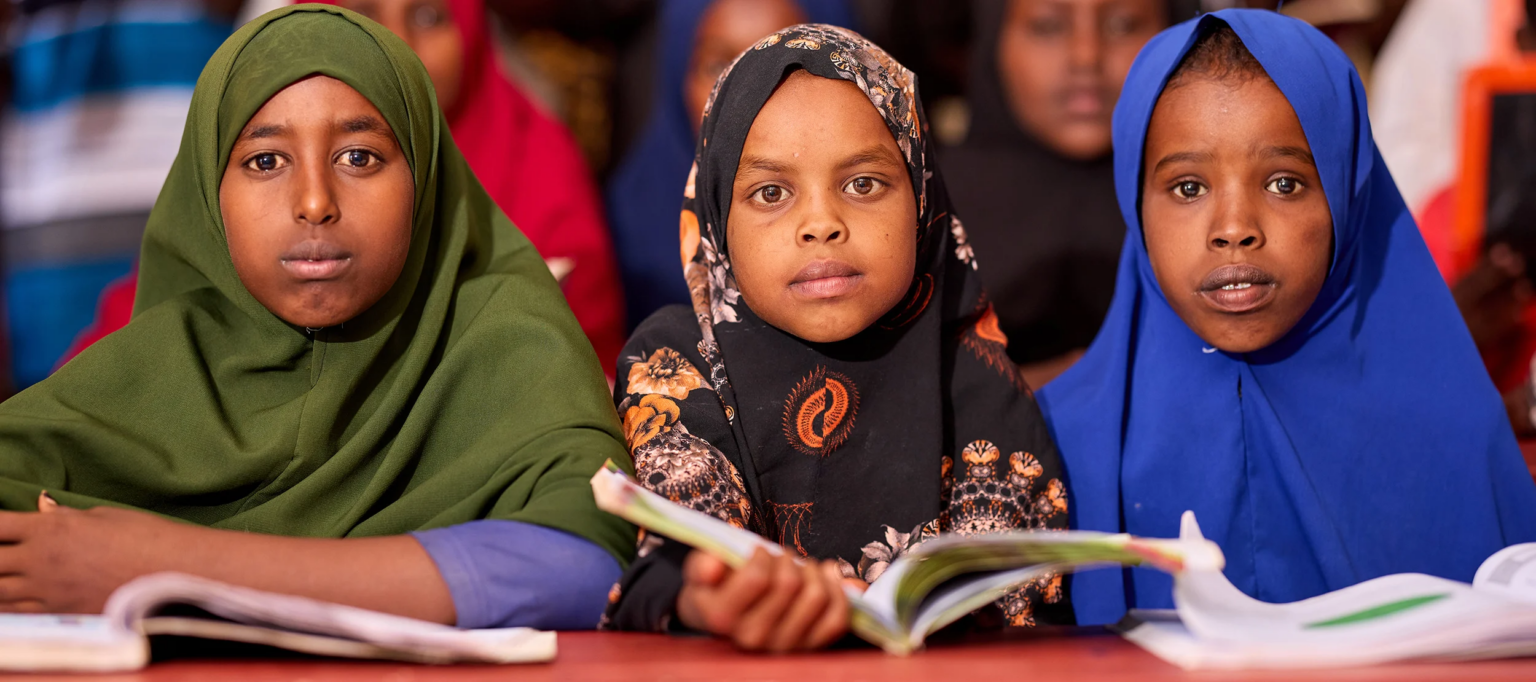 8 Education Problems in Somalia You Need to Know 8 Education Problems in Somalia You Need to Know