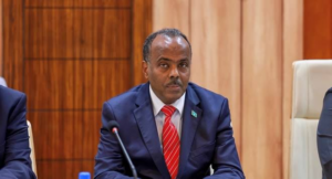 Facts Behind Somali Secret Visit Claims