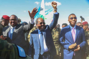 Why Is the Federal Government of Somalia Facing Criticism?