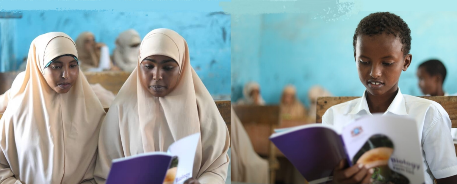International Educational Scholarships for Somali Students International Educational Scholarships