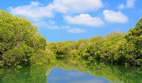 Saacad Diin islands
