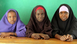 Somali Higher Education Faces Challenges in Future Training