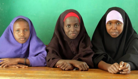Somali Higher Education Faces Challenges in Future Training