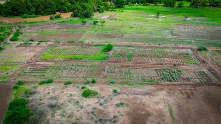 Jowhar Agricultural City: Why Is It Key to Somalia? Jowhar Agricultural City: Why Is It Key to Somalia?