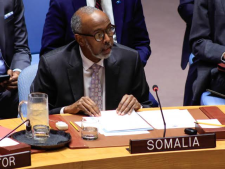 Somali Future Council: African Leaders Must Act Now