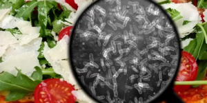 Why Dangerous Food Diseases Matter Daily Why Dangerous Food Diseases Matter Daily