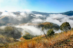 Nugaal Valley Beauty: A Hidden African Treasure