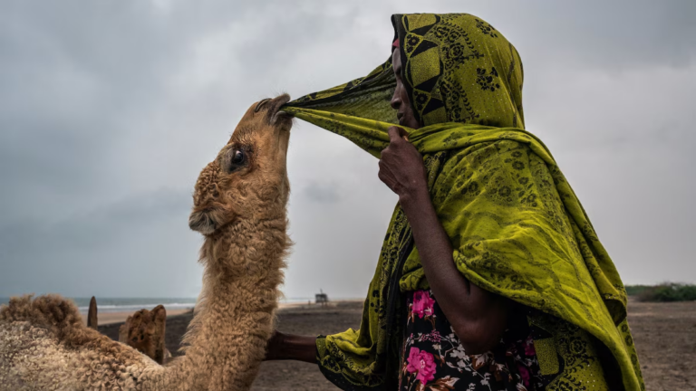 Somali Culture Shift: From Camels to Digital Connectivity Today