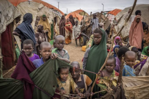 Child Malnutrition Causes and Its Harmful Health Effects Child Malnutrition: Causes and Its Harmful Health Effects