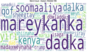 Why Somali Languages Diversity Matters to Local History