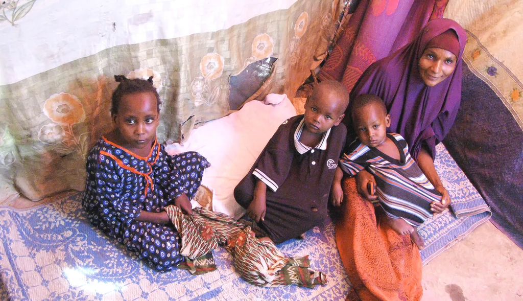 Why Is Somali Family Structure Important?