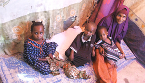Why Is Somali Family Structure Important?