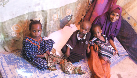 Why Is Somali Family Structure Important?